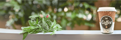 YOUCISION® – gesund, nachhaltig & günstiger als ein Schluck Coffee-to-go